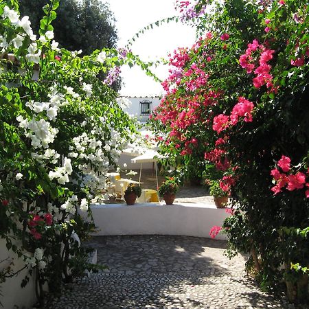 Hotel Punta Rossa San Felice Circeo Kültér fotó